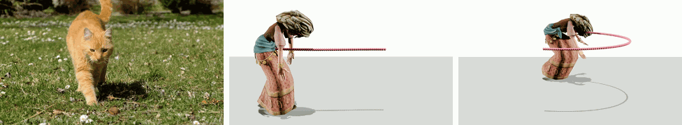 Cat-like walking with forward and half-circle trajectory control