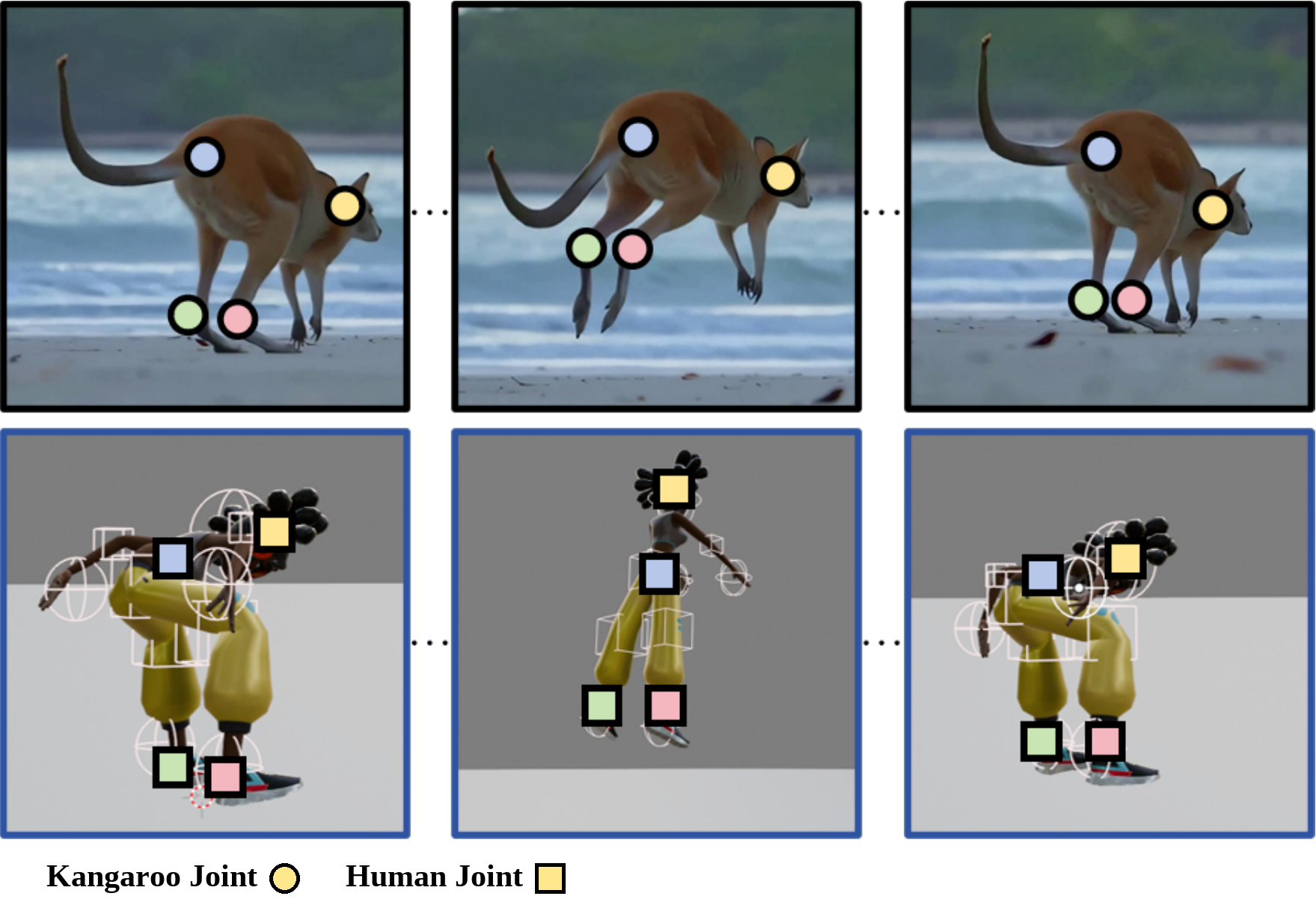 Paper motivation figure showing kangaroo joints and human joints aligned across motion frames