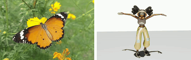 Butterfly-like wing flapping reference and human reenactment