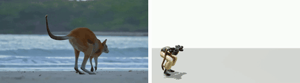 Kangaroo-like jumping reference and human reenactment